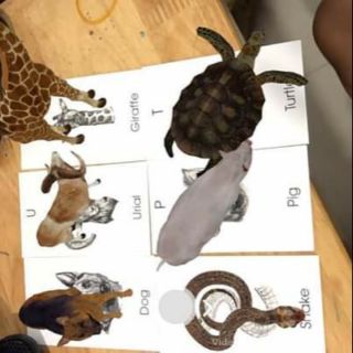 BỘ ĐỒ CHƠI THẺ HỌC 4D CHO BÉ