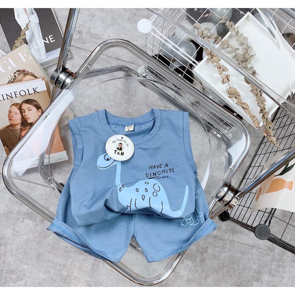 [XẢ HÀNG] Bộ Quần Áo Khủng Long Bé Trai Chất Cotton Tàu Co Giãn 4 Chiều