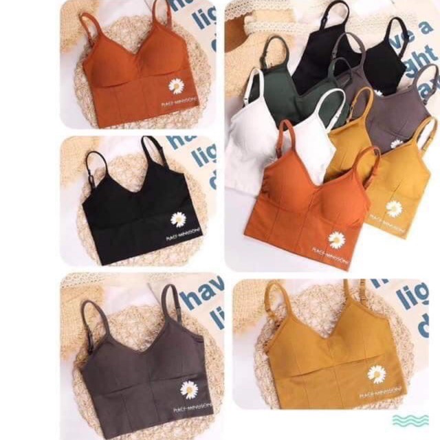 [BRA ĐA NĂNG] ÁO BRA GÂN TĂM HOA CÚC HOT HIT HỞ LƯNG BC_CHIC LINGERIE