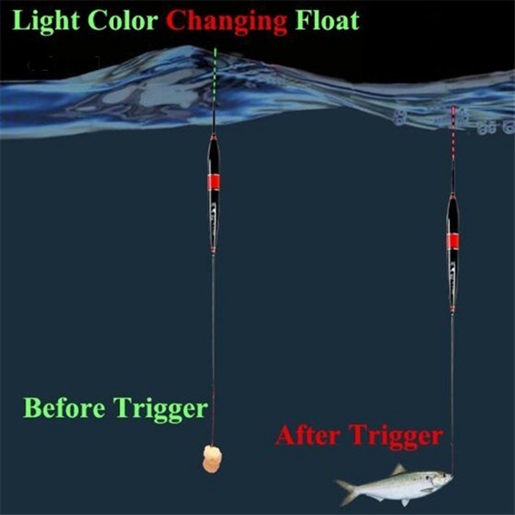 Phao câu cá có đèn LED