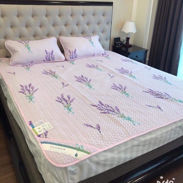 Chiếu điều hoà ivy