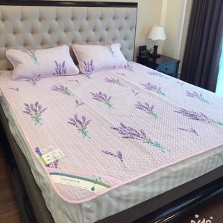 Chiếu điều hoà ivy