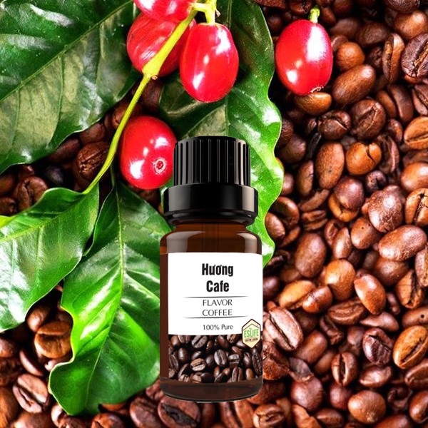 Tinh dầu Hương Cafe Eslife | Khử mùi hôi oto | Thơm phòng | Khử mùi hôi chống say tàu xe oto tinh dầu khuếch tán xông đố | BigBuy360 - bigbuy360.vn