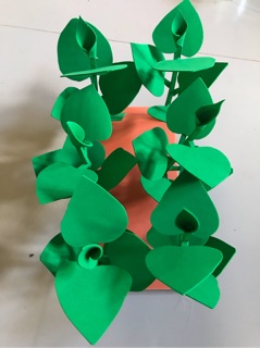 Vie rau mùng tơi