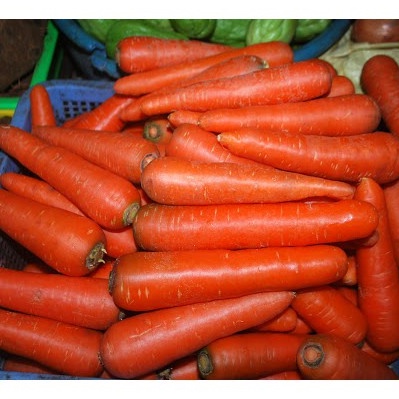 [Gói hạt] Hạt Giống Cà Rốt Siêu Trái F1 Loại Dễ Trồng &amp; Dễ Thu Hoạch Tặng kèm Hướng Dẫn Trồng