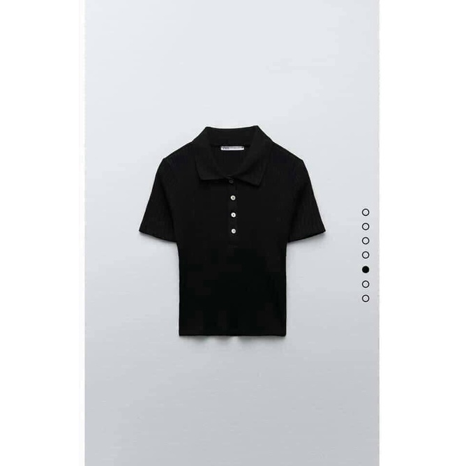 (SẴN) ÁO POLO TĂM Z.R CHẤT SIÊU XỊN | BigBuy360 - bigbuy360.vn