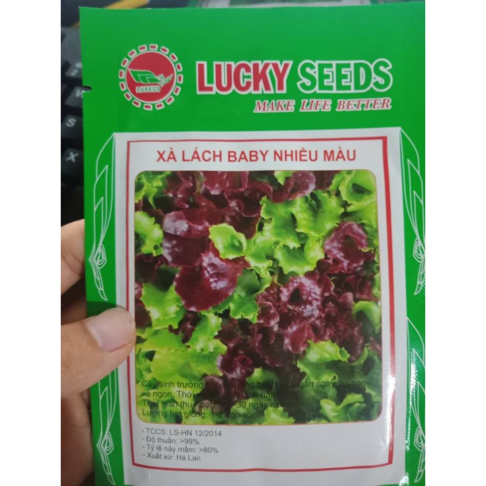 Hạt giống xà lách baby nhiều màu gói 50 hạt / 1 gói