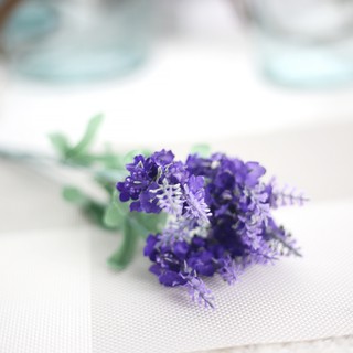 Hoa giả - Hoa Lavender