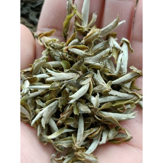50g bạch trà tiên