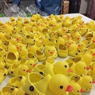 Dép vịt Thái