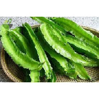 Hạt giống Đậu rồng 5 hạt