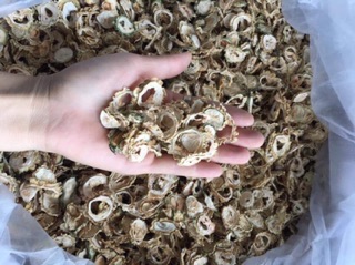 Mướp đắng 1 kg khô
