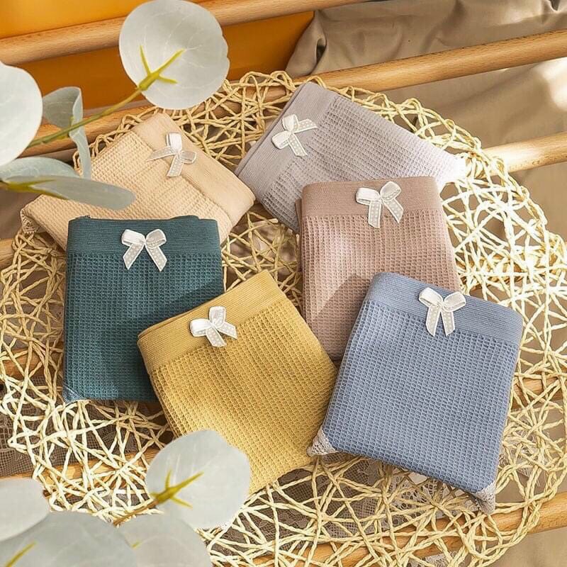 Quần lót nữ Cotton Thông Hơi Co Giãn 4 Chiều Sợi Bông Viền Ren Kháng Khuẩn Mùa Hè QL3312