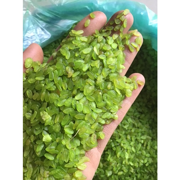 Cốm xanh khô dẻo thơm hạt đều mẩy gói 1 kg