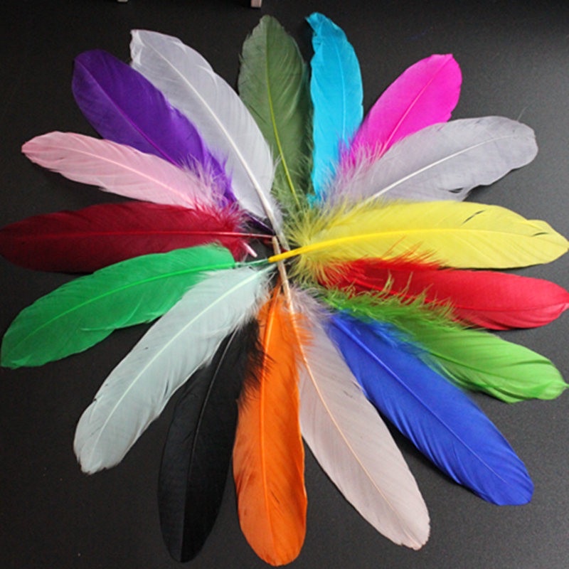 Lông vũ cánh dài thật 100%, dài 15-20 cm nhiều màu, làm phụ kiện dreamcatcher, phụ kiện chụp ảnh, thiết kế đồ thời trang