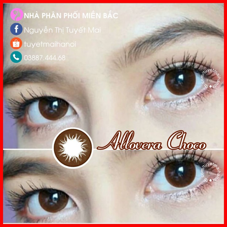 [ Ảnh Thật ] Lens Cận Màu Nâu Tự Nhiên Siêu Êm Siêu Mềm Allovera Choco 14.2mm - Kính Áp Tròng Hàn Quốc Vassen Sexy Me