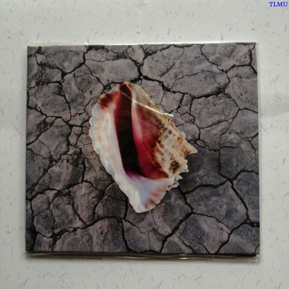Đĩa CD Album THE KILLERS - Tuyệt Vời Hữu Ích GR03
