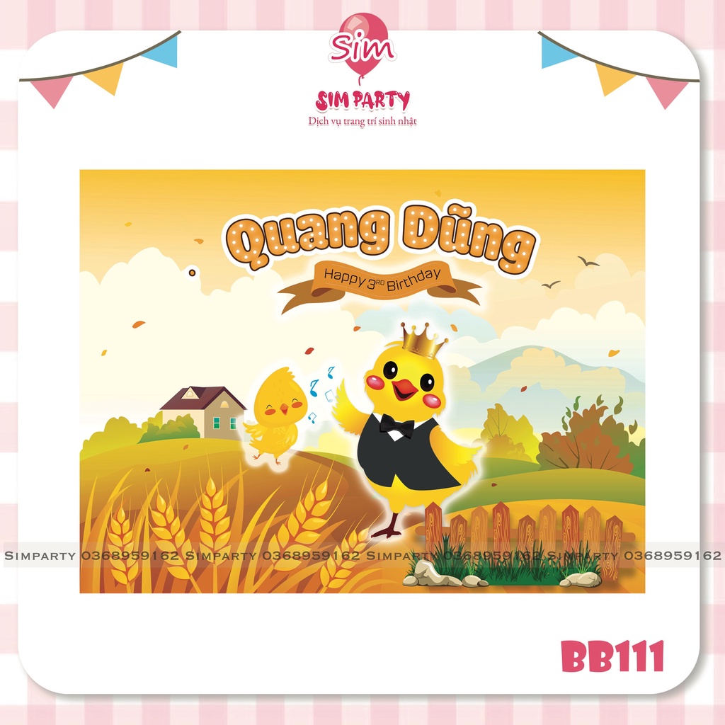 Backdrop trang trí sinh nhật bé trai bé gái phông bạt vải Silk, Hiflex in trực tiếp theo tên bé