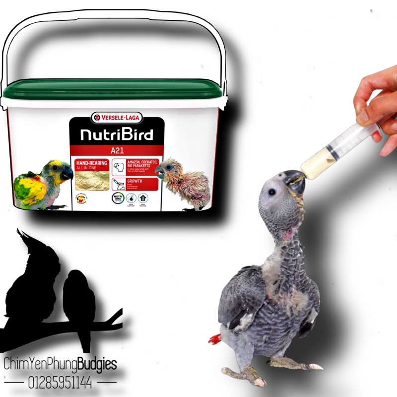 [Hoả tốc] 500g bột Nutribird A21 giàu dinh dưỡng cho vẹt non_XUẤT XỨ: BỈ - date: 3/2023