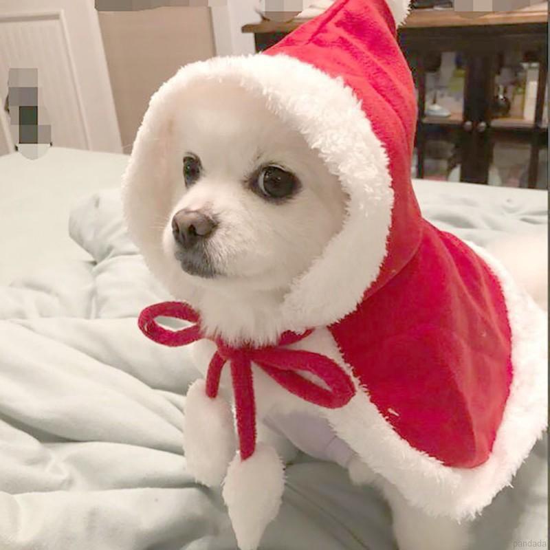 ÁO CHOÀNG ELSA NỮ HOÀNG CÓ NÓN CHO THÚ CUNG CHÓ MÈO &lt;8KG GIÁNG SINH NOEL