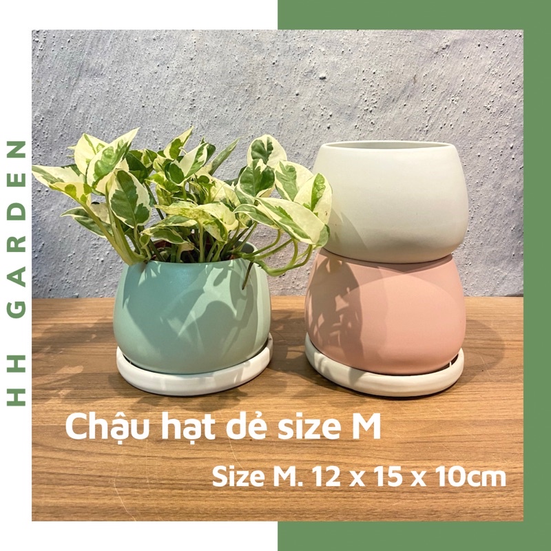 Chậu hạt dẻ, Size nhỡ M (12*14.5*10cm), chậu trồng cây để bàn gốm Bát Tràng