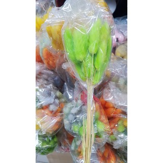 Decor - Cỏ đuôi thỏ (bó 50 cành)