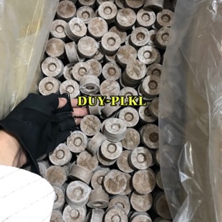 Viên nén dừa - Combo 50 Viên nén xơ dừa ươm hạt, ươm kei, gieo hạt giống.dừa ươm hạt giống. viên nén xơ dừa.