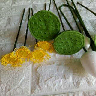 Combo hoa sen @Fb Sao mai