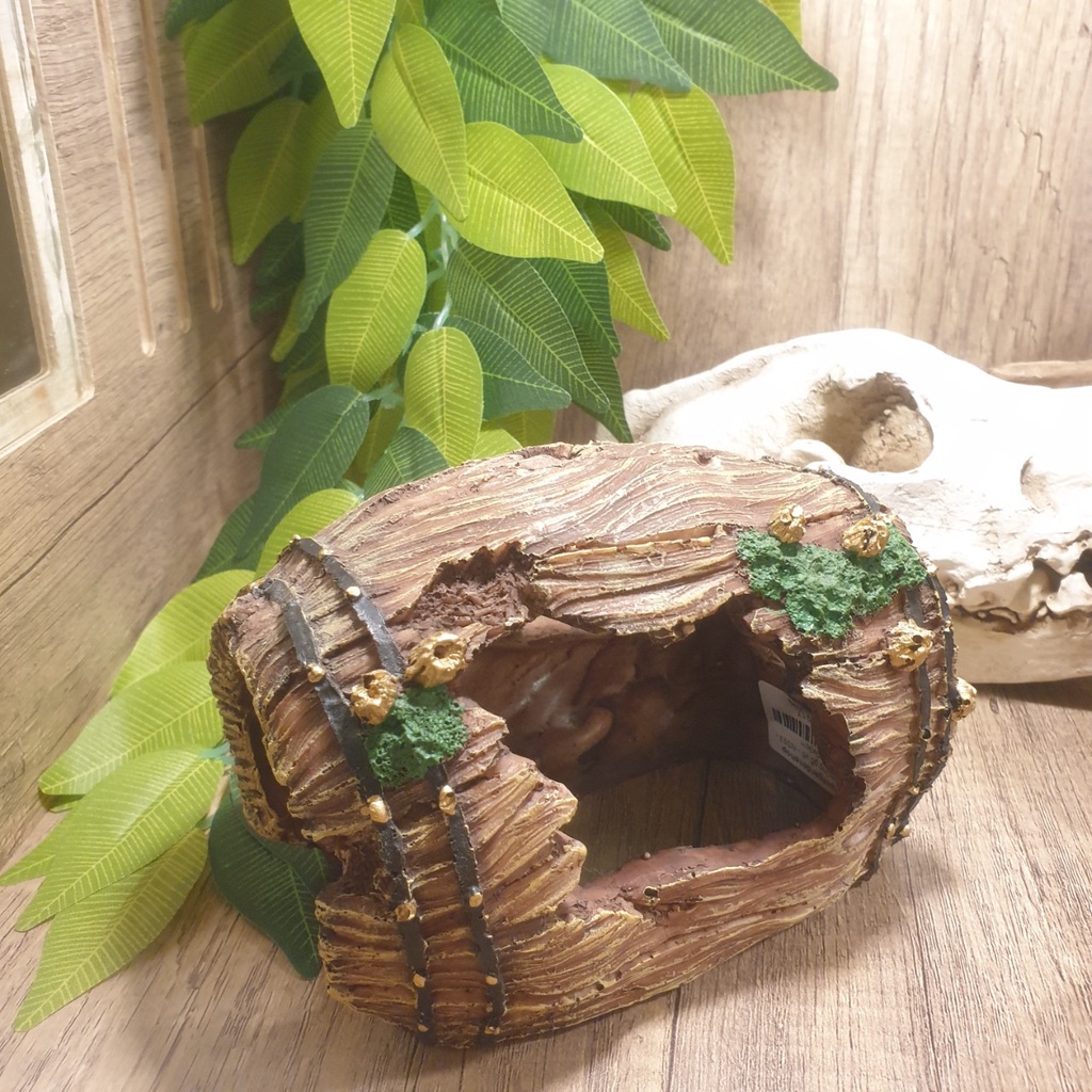 Hang trú ẩn thùng gỗ vỡ cho bò sát | Vietpetgarden