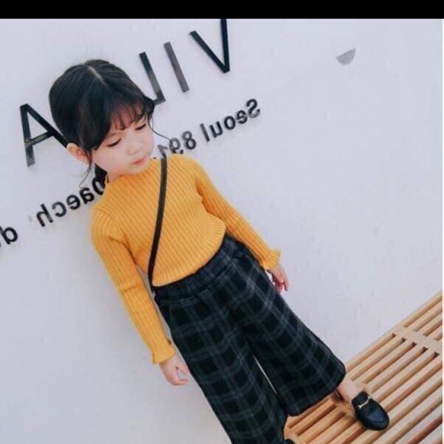 Áo cổ 3 phân chất cotton len
