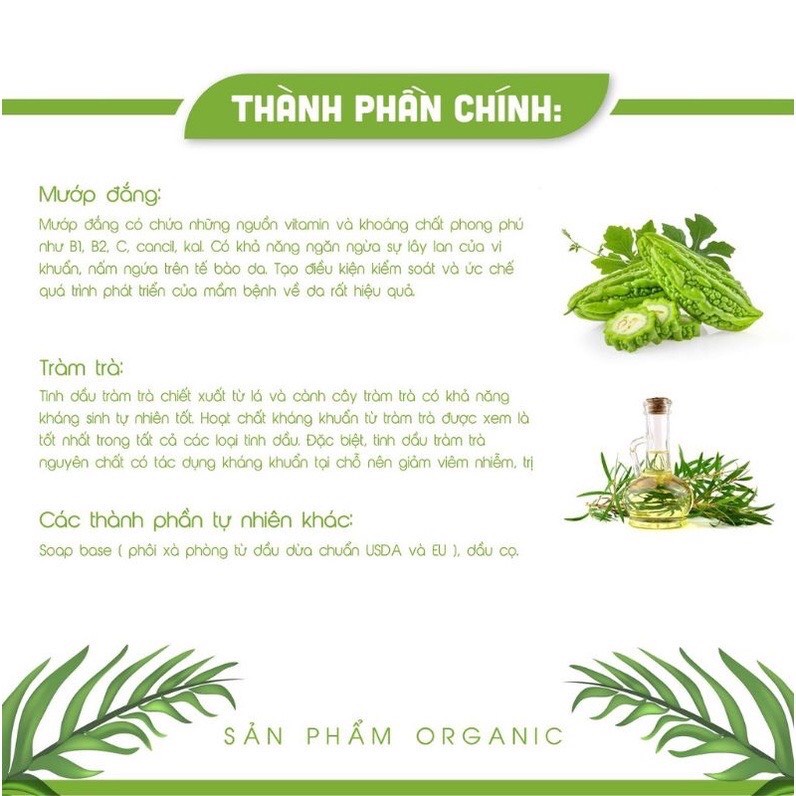 Xà bông mướp đắng Flavor's - xà bông cục loại bỏ mụn trứng cá viêm nang lông bằng tinh chất mướp đắng - handmade | BigBuy360 - bigbuy360.vn