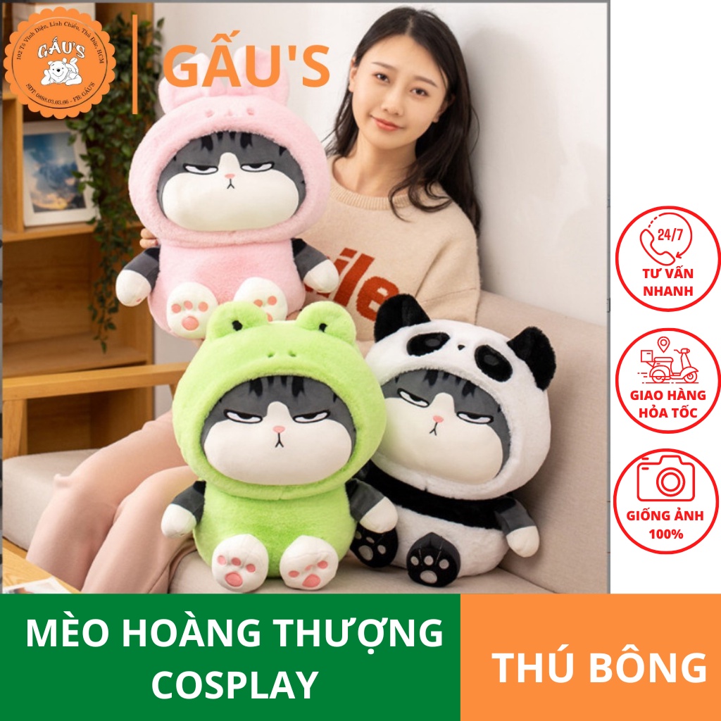 GẤU BÔNG MÈO HOÀNG THƯỢNG COSPLAY ĐỘNG VẬT - GẤU SHOP