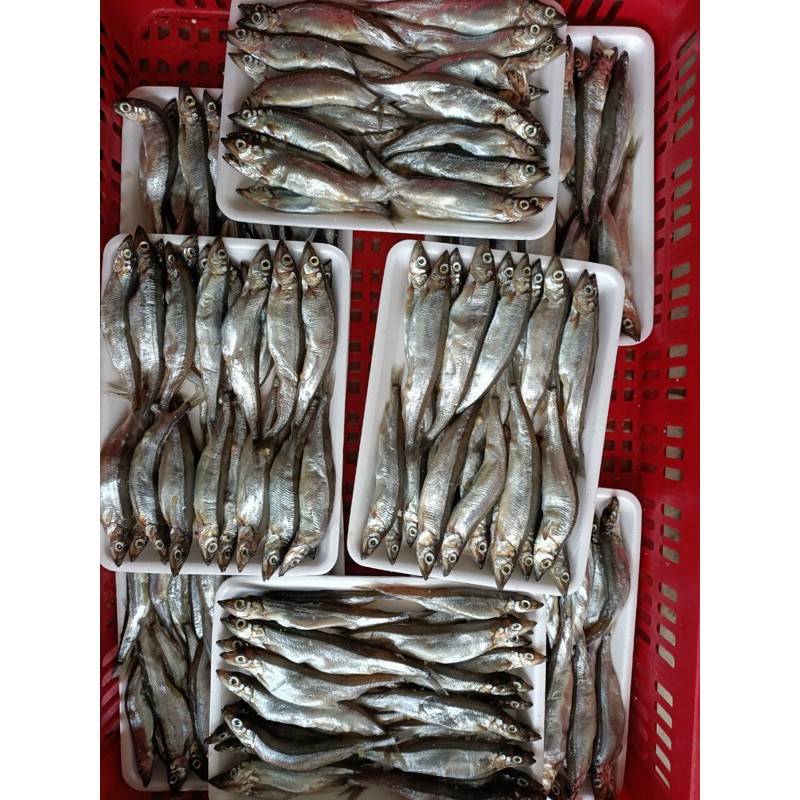 0,5kg Cá Trứng Nauy