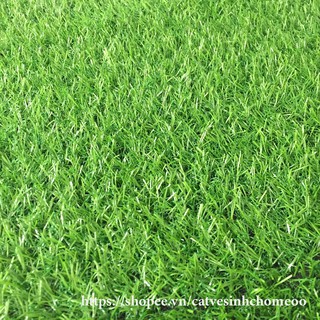 [ 1M x 0,5M ] tấm cỏ nhựa nhân tạo 2cm
