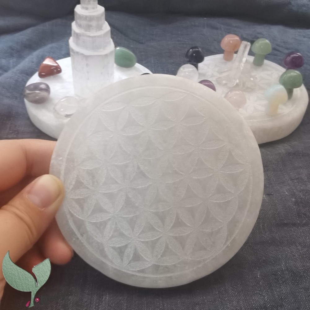 Đĩa Sạc In Hình Hoa Màu Trắng 10Cm