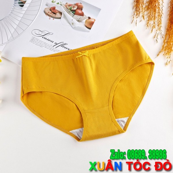 Quần Lót Nữ Cotton 7 Màu Có Nơ Cực Xinh M081