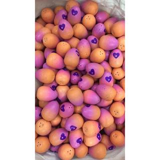 TRỨNG HATCHIMAL