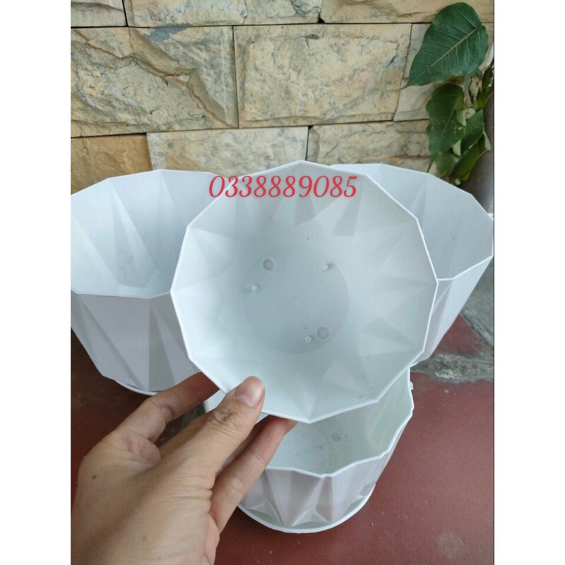 Chậu nhựa múi khế đĩa trồng cây, derco siêu xinh,hàng sẵn kh