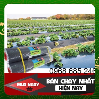 Màng phủ nông nghiệp 1m6x400x25mic hàng đẹp