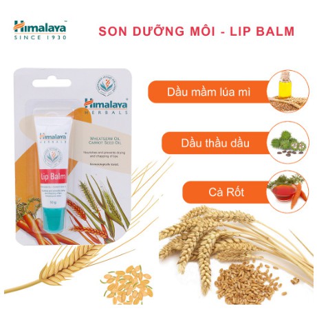 Son dưỡng hồng môi chiết xuất cà rốt Himalaya Lip Balm 10g