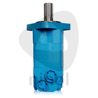 Motor thủy lực BMS