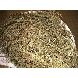 Diệp Hạ Châu khô (Cay cho de)