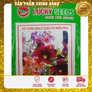 COMBO 2 gói hạt giống hoa Ly châu phi mix nhiều màu TẶNG 1 phân bón