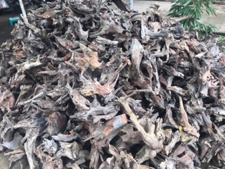 Lũa Sầm - Trang trí bể cá, ghép lan 1Kg