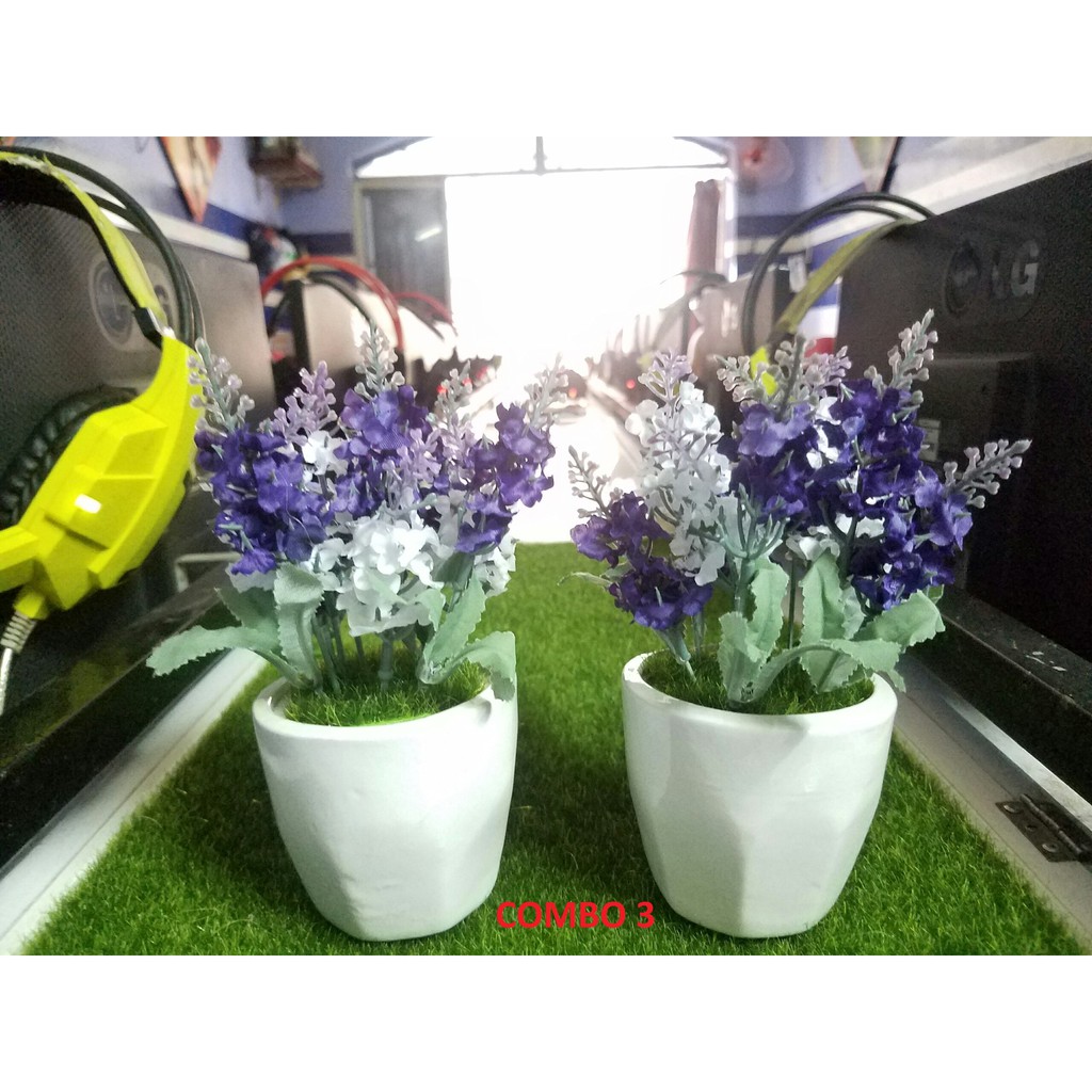 Com bo 2 chậu hoa để bàn xinh
