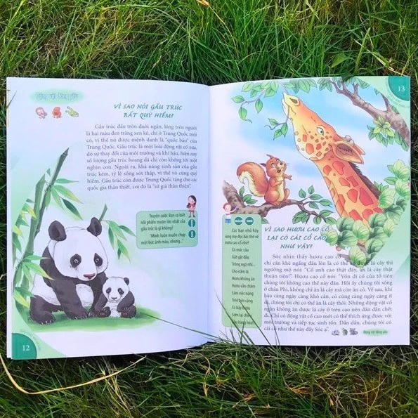Sách - 10 Vạn Câu Hỏi Vì Sao - Gấu Trúc, Voi Và Kiến