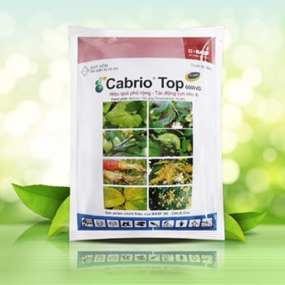CABRIO-TOP 600WG – THUỐC ĐẶC TRỊ NẤM BỆNH CHO CÂY TRỒNG