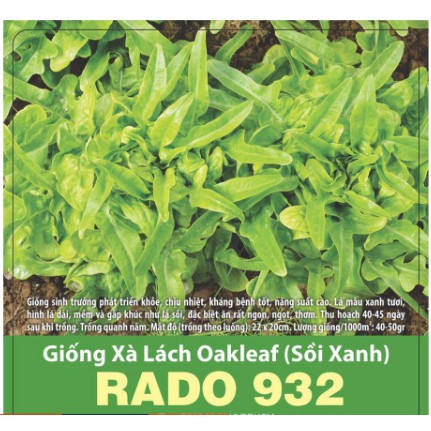 Hạt Giống Xà Lách Oakleaf (Sồi Xanh) 2gr