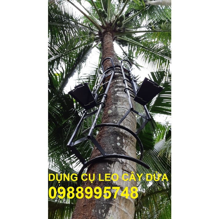 BỘ DỤNG CỤ LEO DỪA KIỂU ĐỨNG LEO