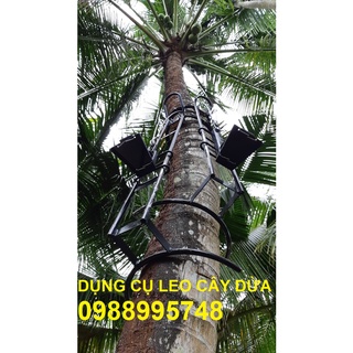 BỘ DỤNG CỤ LEO DỪA KIỂU ĐỨNG LEO